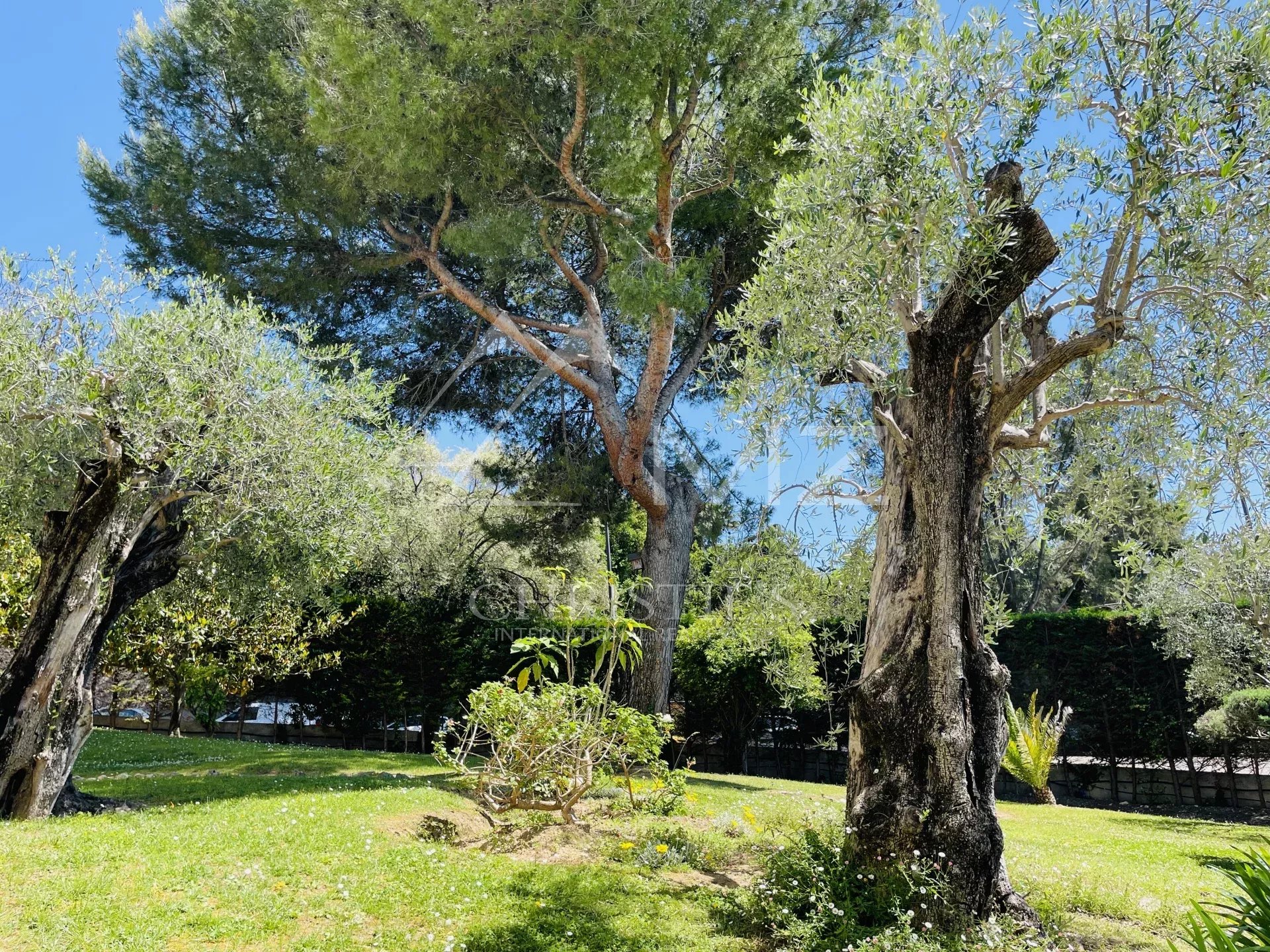 69b0ed972f7a6f1ee5a71bbc3f90741f_af4576b82b_1920-original