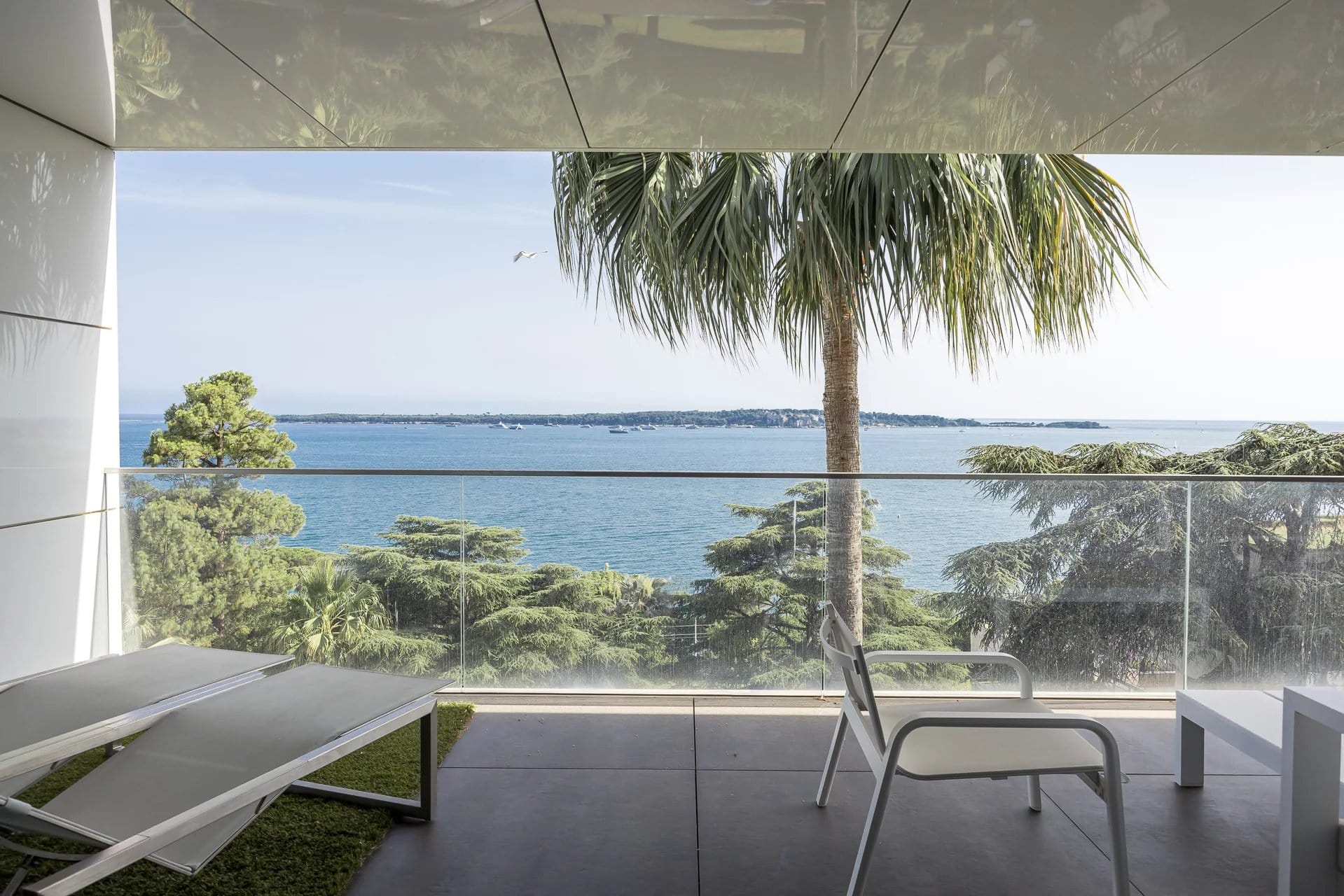 Terrasse d'un appartement de luxe avec vue sur la mer à Cannes, palmier et mobilier moderne.