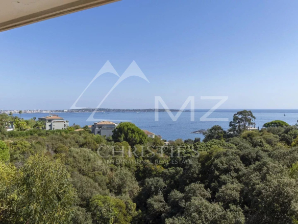 Panoramic sea view from an apartment in Cannes, with trees in the foreground.