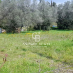 FLAT LAND 3300 m² FREE OF BUILDING