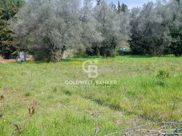 FLAT LAND 3300 m² FREE OF BUILDING