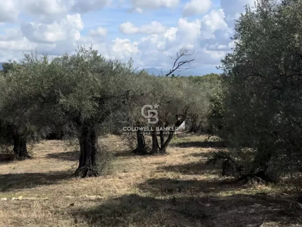 Beau terrain constructible à 10 minutes à pied du village de Valbonne