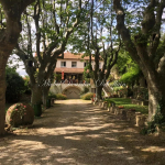 vente bastide Cornillon-Confoux