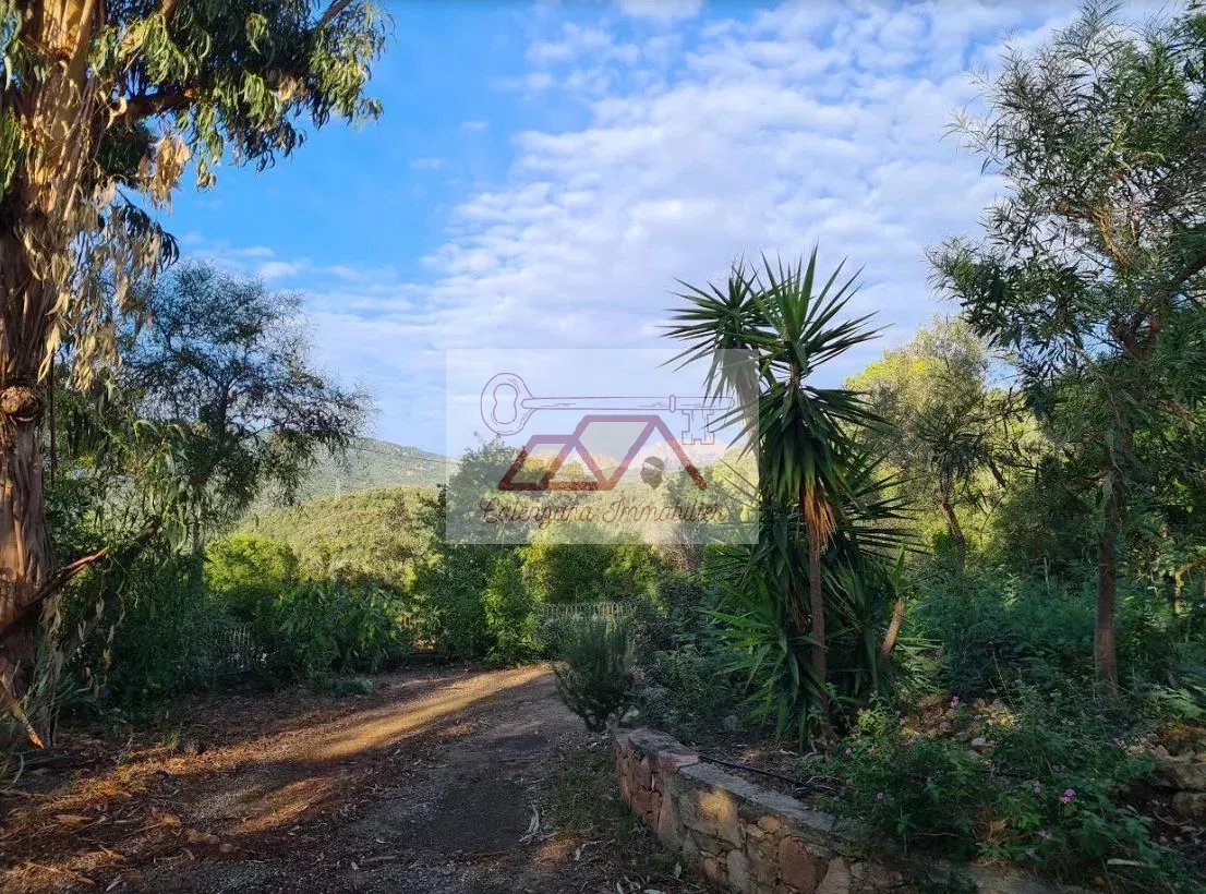 ad01e2a3cdef9338e3e52f2166b4bbe9_3ddb57dfea_1106-original