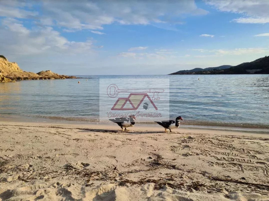 f6c21784c92dd4ca91e1b3d79712a6e8_e696283fe3_1077-original