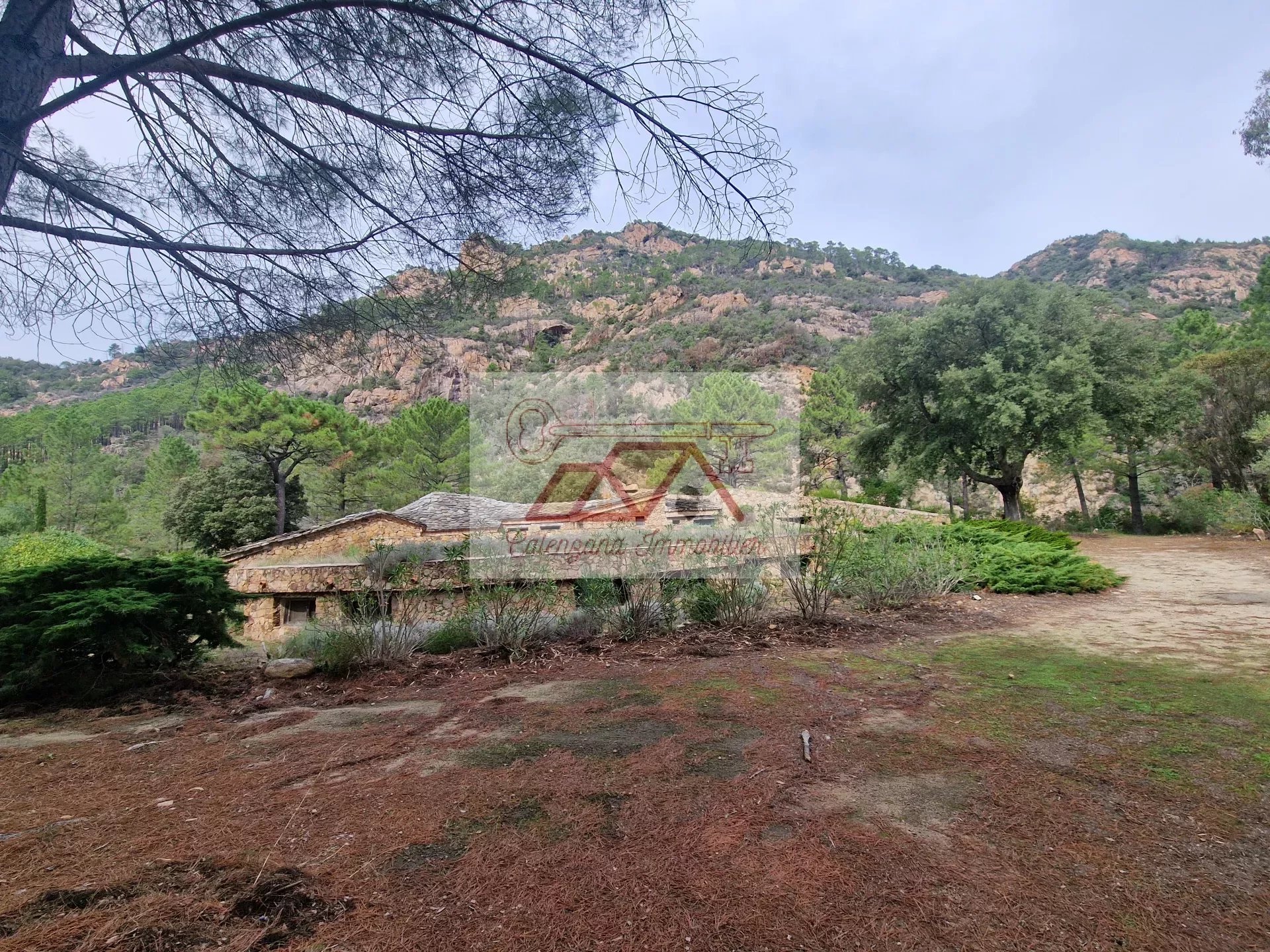 1cf239e3c8fbe645ea514118814119a2_02e67c10f4_1920-original