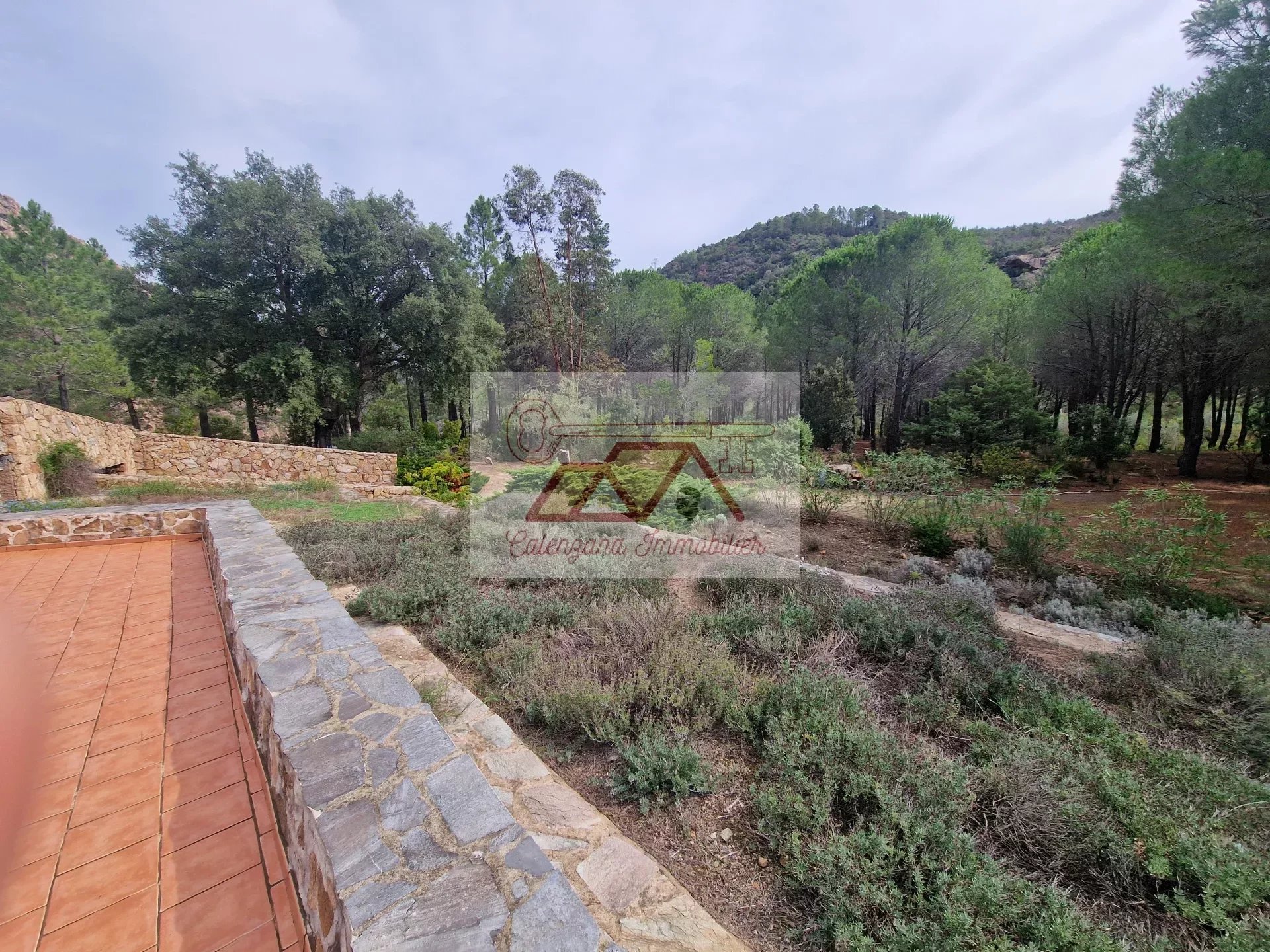 5152156afd8c58e7724ae4bb54df647b_4883891a0d_1920-original