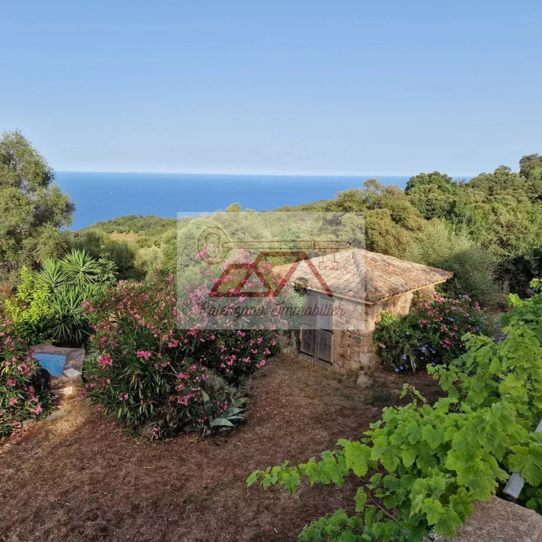 Calenzana – Charmante villa T5 avec dépendances, piscine et forage.