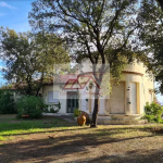 Beachfront property with garden