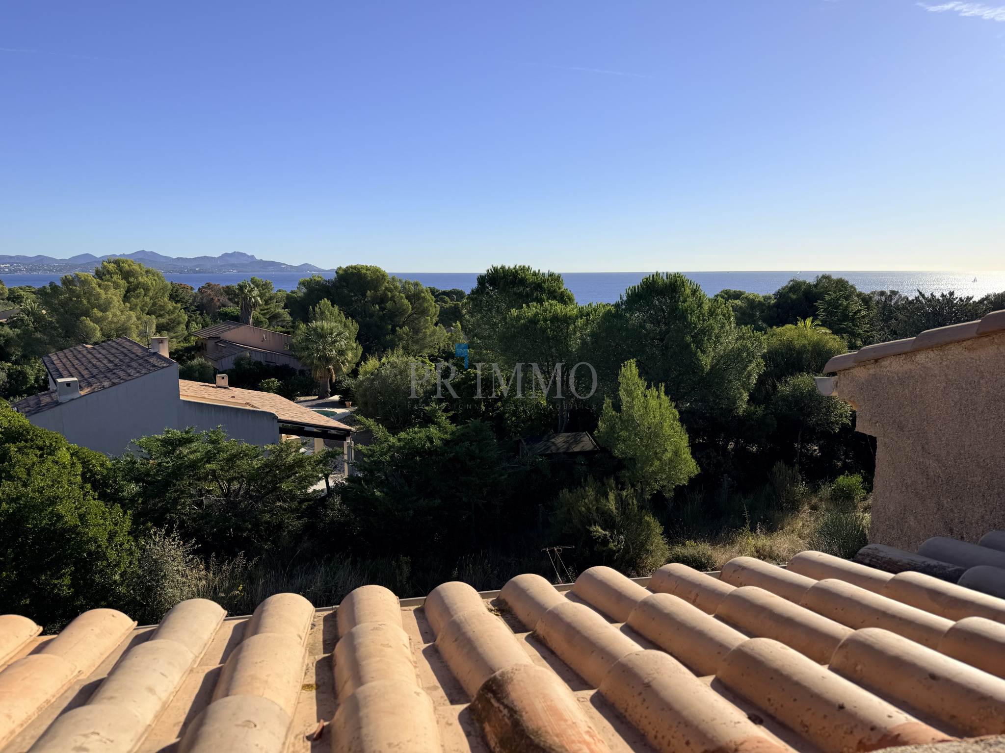 photo_301f9cfa393556cd19683feb643b8442