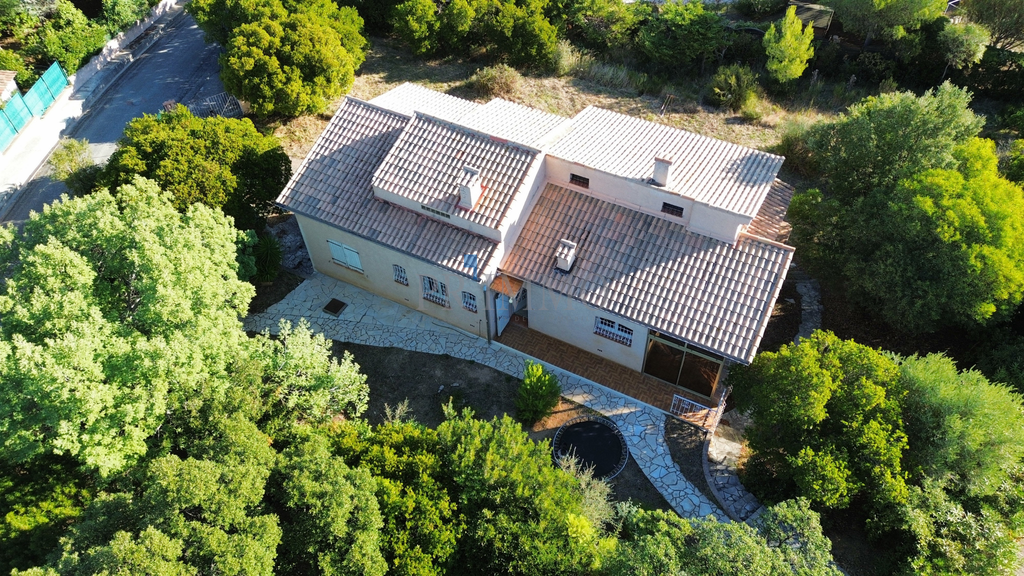 photo_54d4cf73c0b214a38a8eaeedc80f22ff