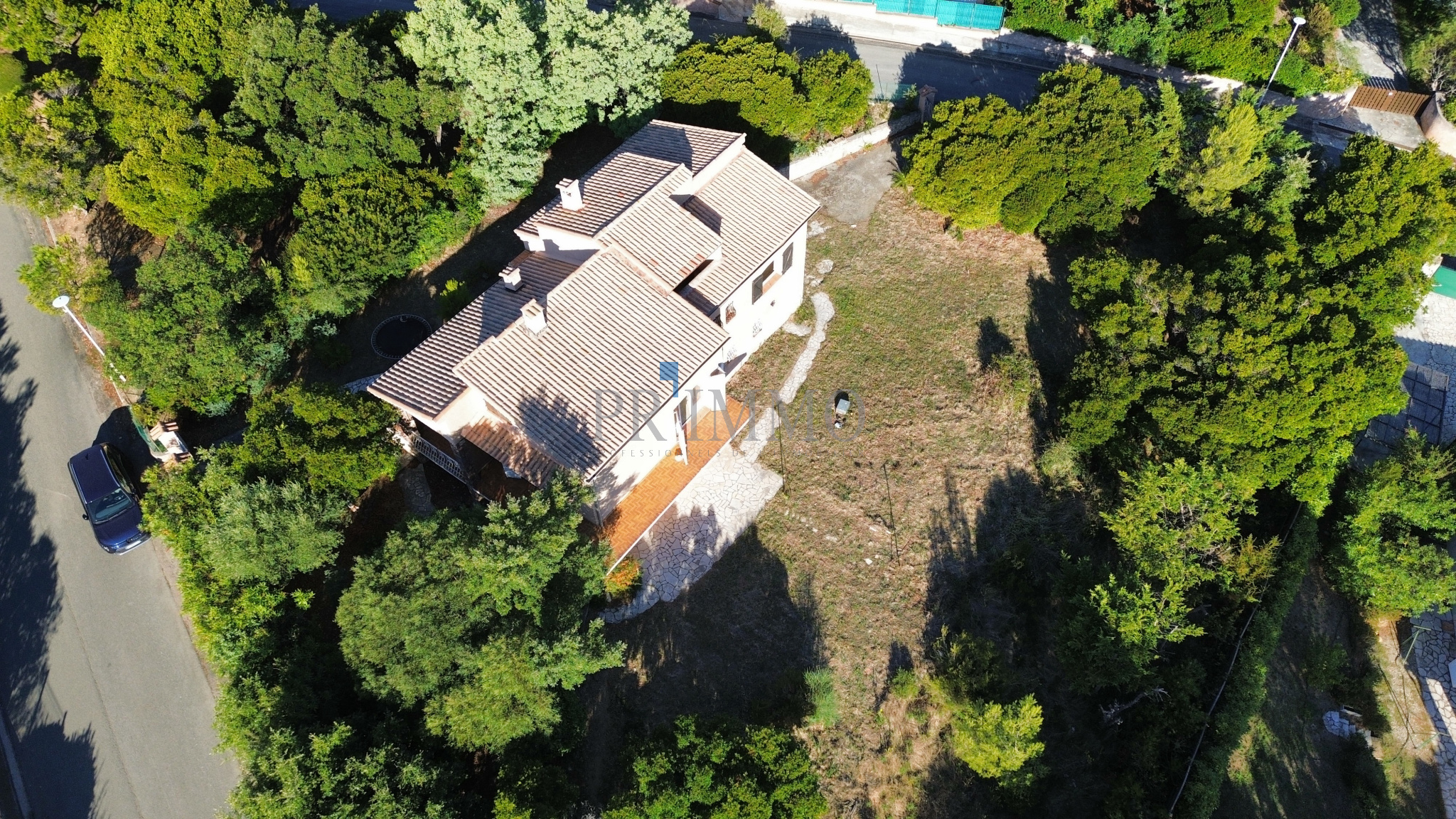 photo_fd91742afaf06ab0214794efa57ddf6e