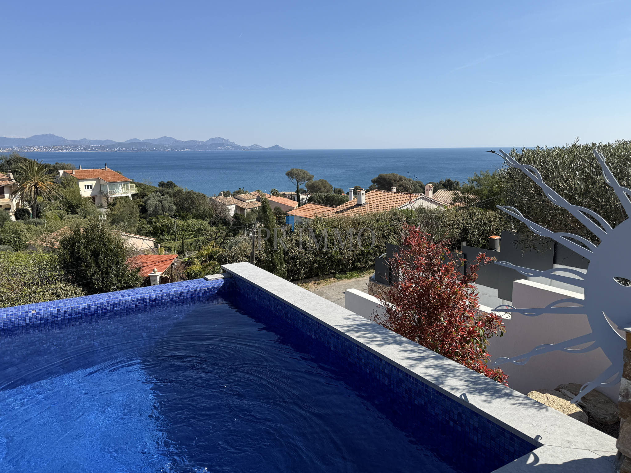 photo_c7ec336d5ad9ae66a16ed98bb50af3f0