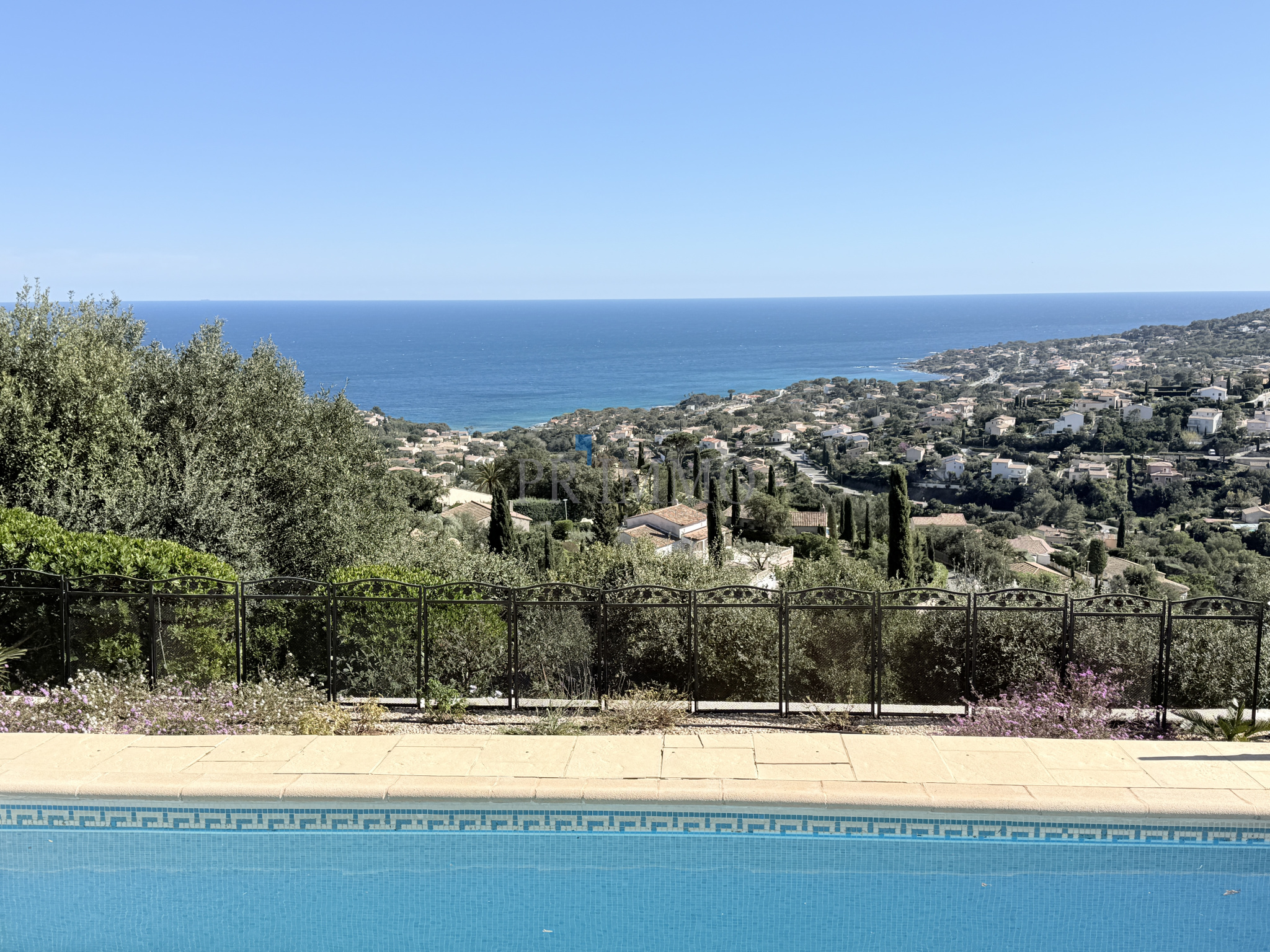 photo_1cdef80daf9d5ef77a647022c4ea9aee