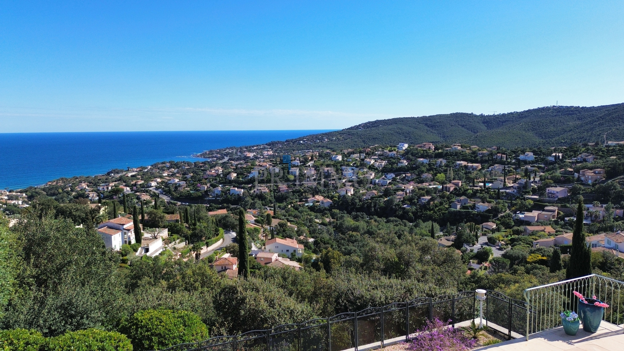 photo_294bba39dc71c1bcb5ad785a17922036