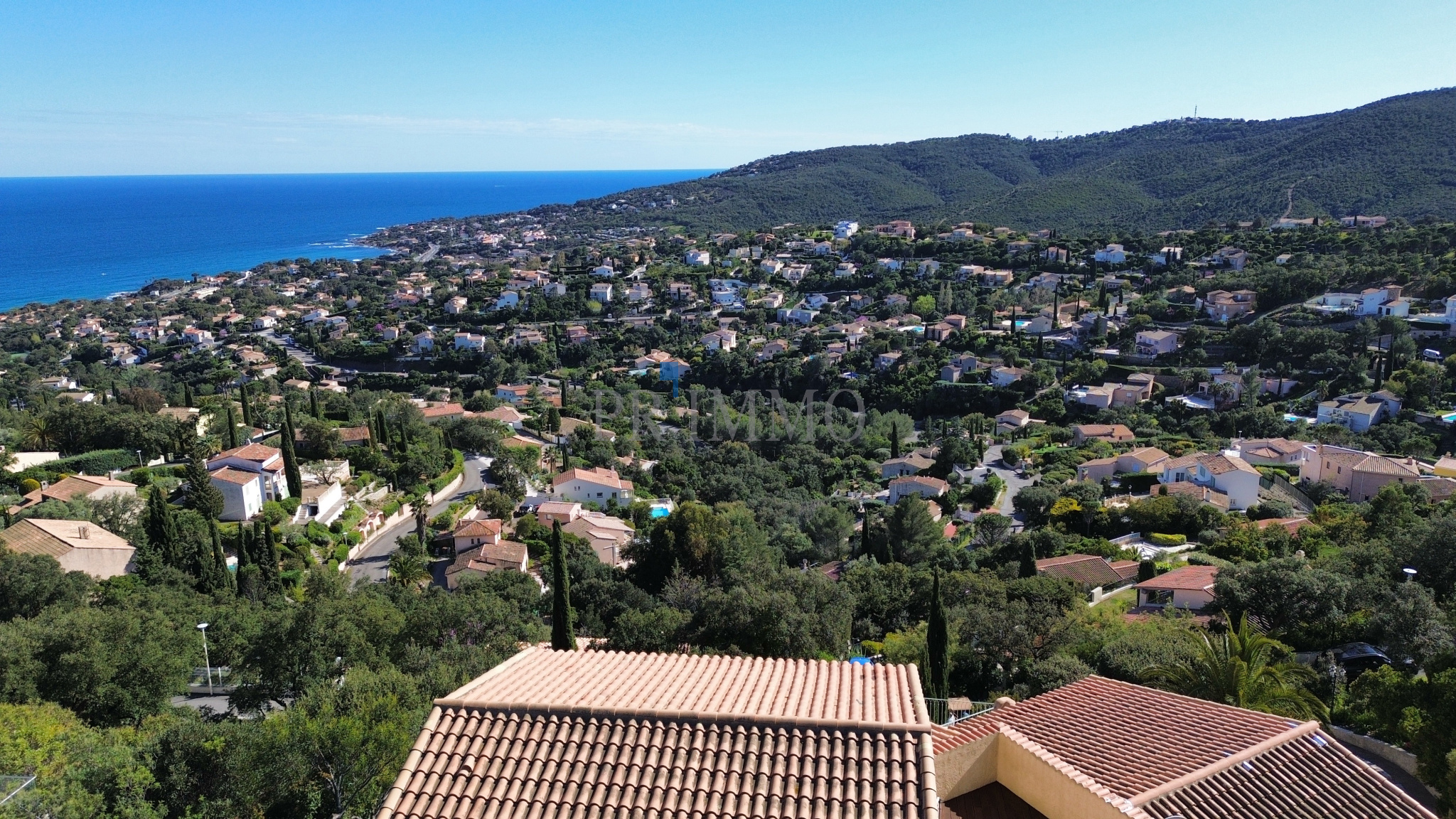 photo_3c80e947e536737f2e589d7b292e7216