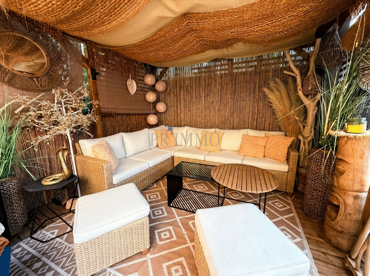 Decorated living room area Comfortable lounge area with sofas and natural decor.