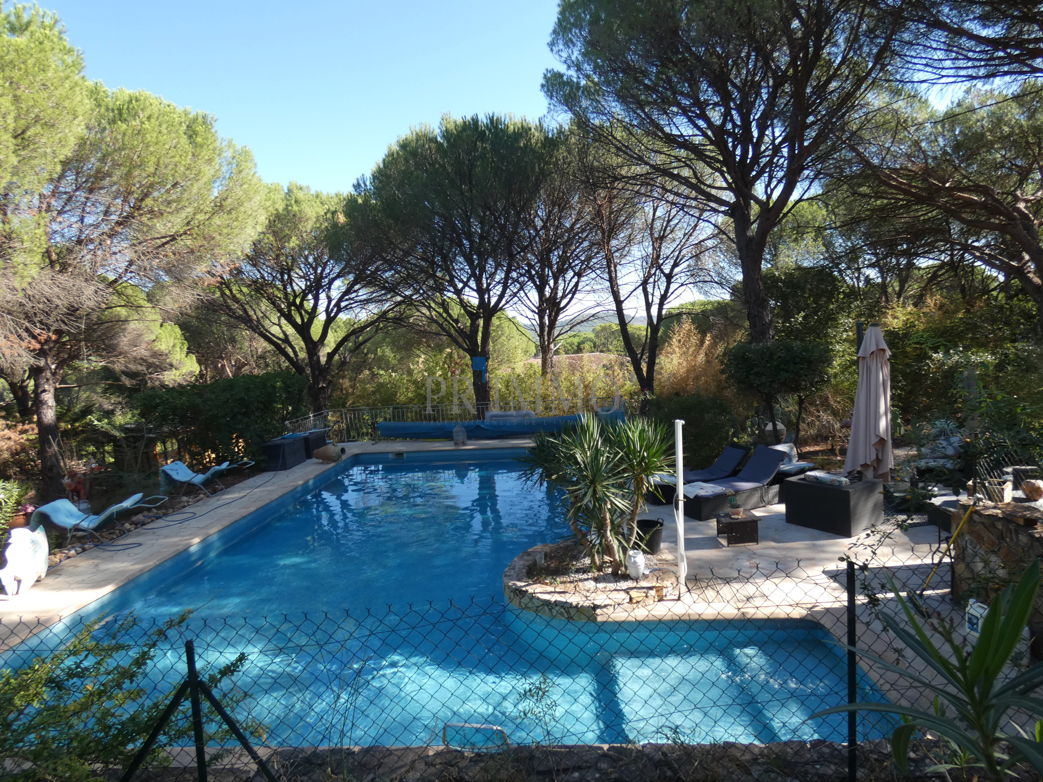 Piscine entourée de pins dans une villa à Vidauban, Provence.