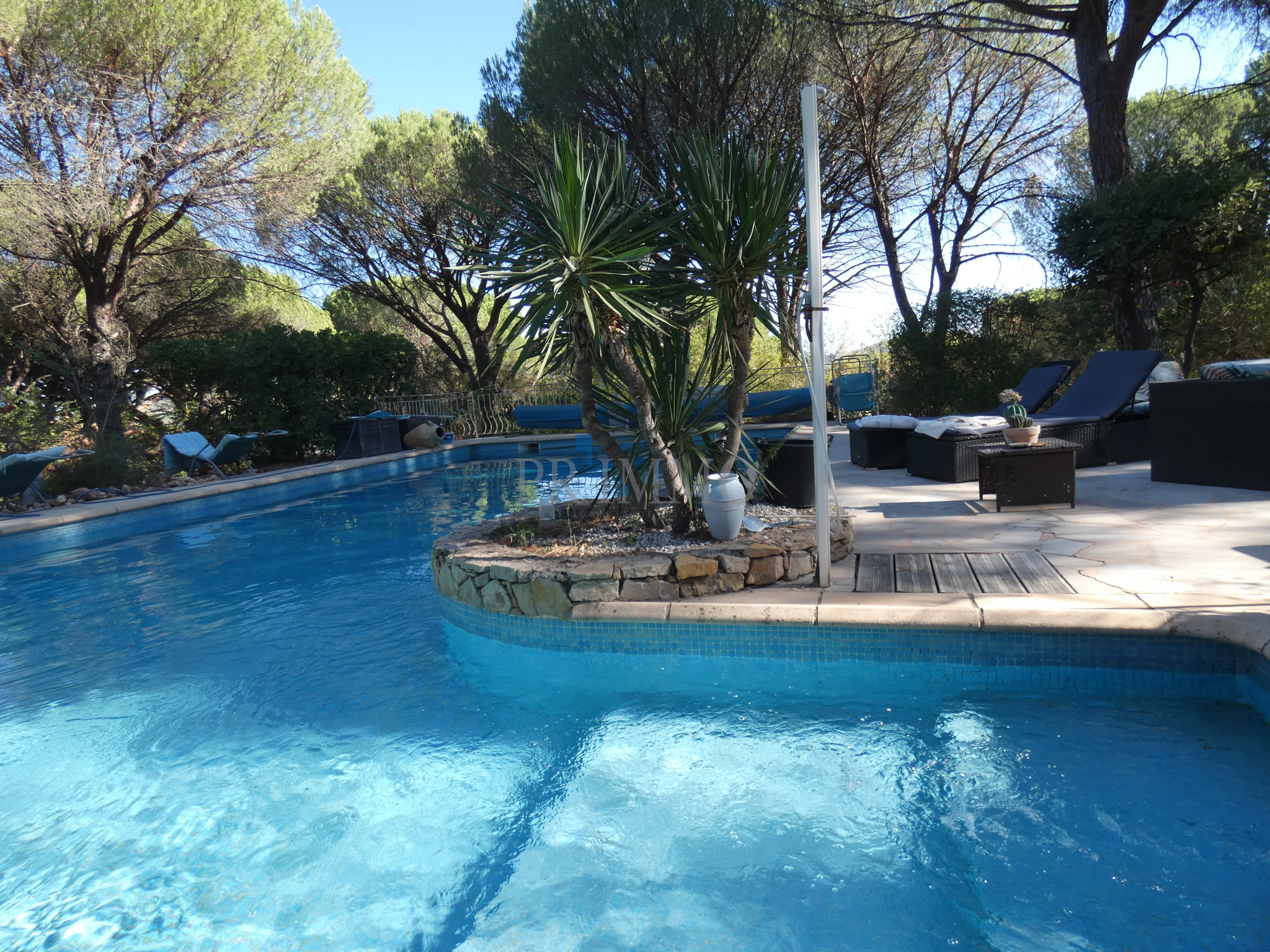 Piscine entourée de pins dans une villa à Vidauban, Provence.