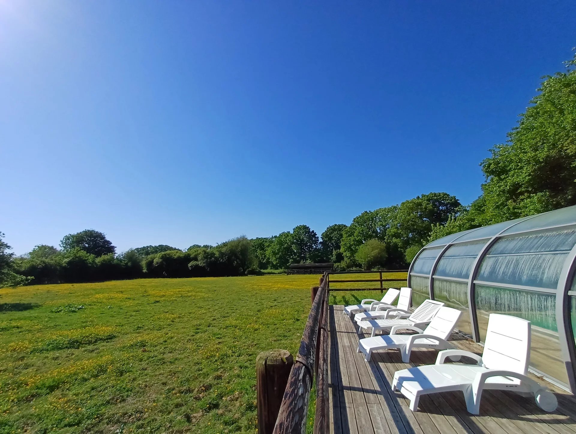 2125527c2d1ce82512b0d85d67abf517_89effc21f5_1920-original