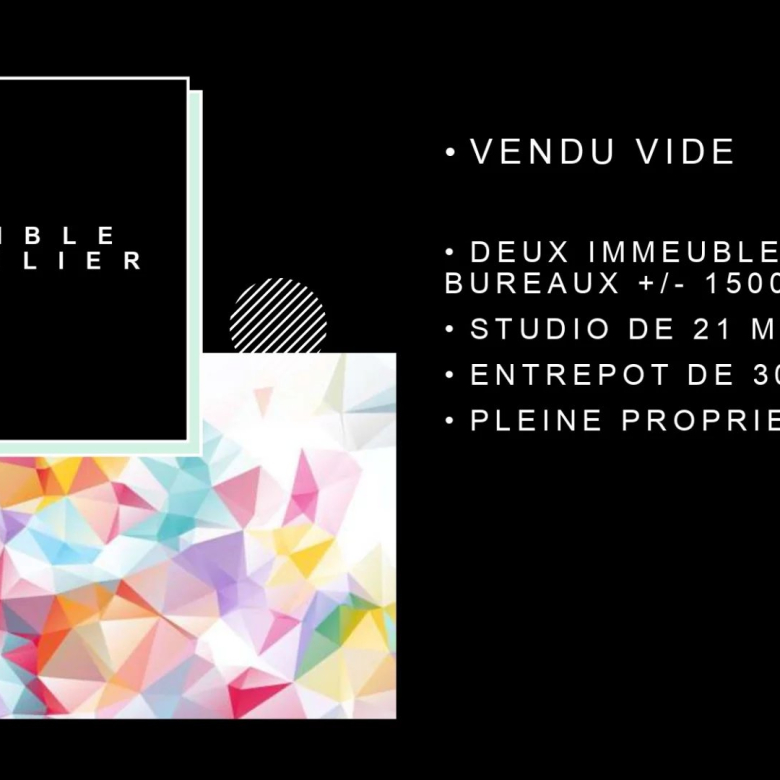 ENSEMBLE IMMOBILIER DE BUREAUX DE STANDING AVEC STUDIO ET ENTREPROT