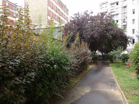 Allée verdoyante avec des buissons et des arbres dans une résidence à Paris 13ème.