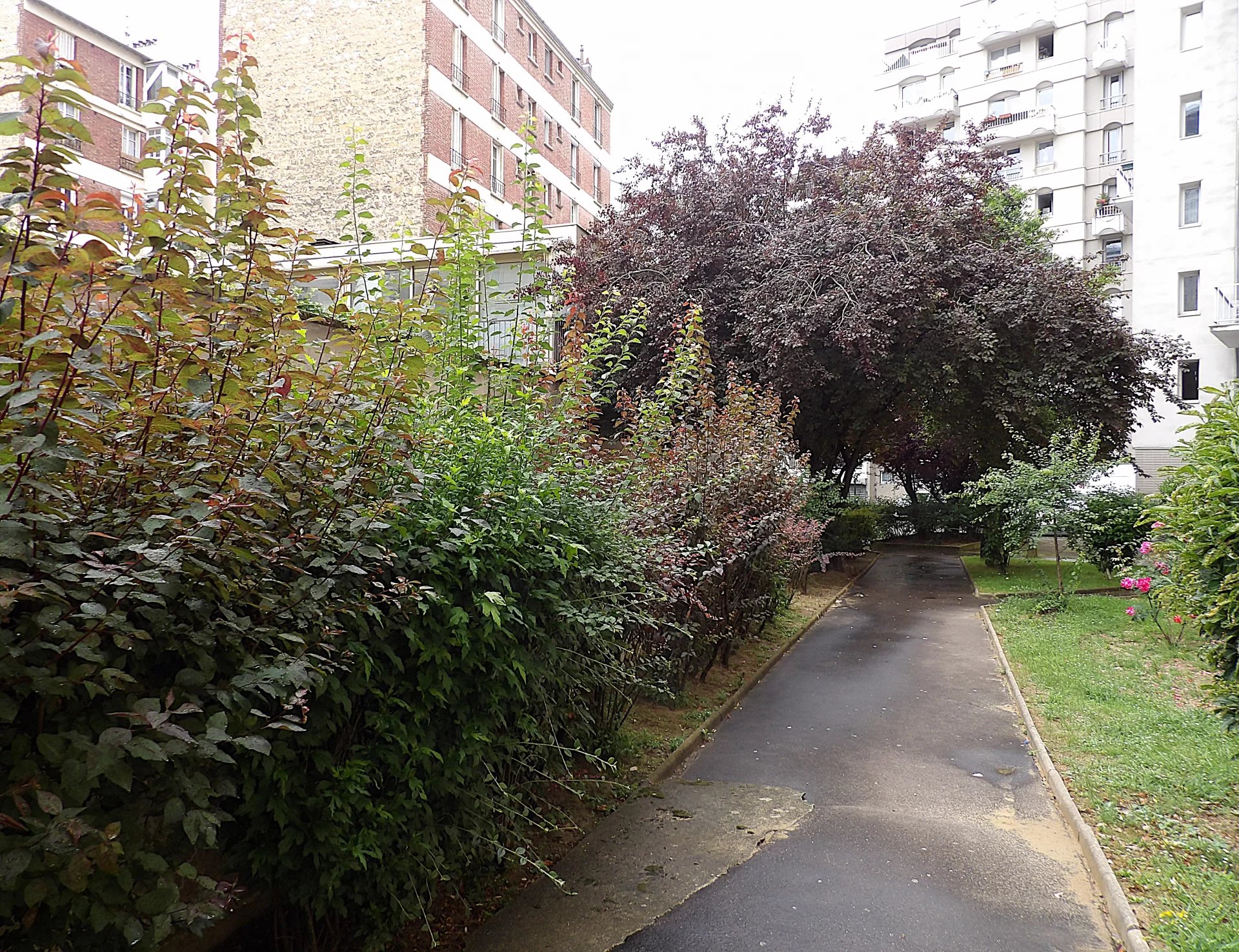 Allée d’une résidence à Paris 13ème Allée verdoyante avec des buissons et des arbres dans une résidence à Paris 13ème.