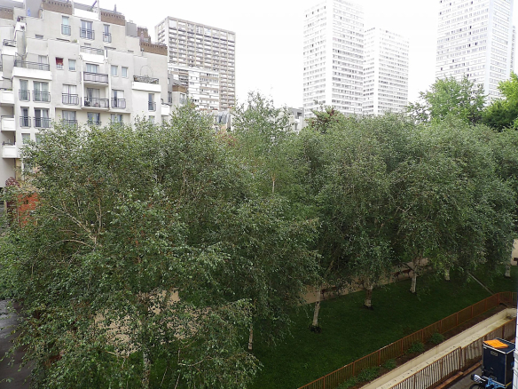 Vue d'un espace vert avec des arbres et des bâtiments en arrière-plan à Paris 13ème.
