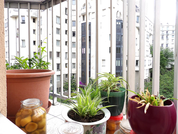 Balcon d'un appartement avec des pots de plantes, vue sur un immeuble à Paris 13ème.