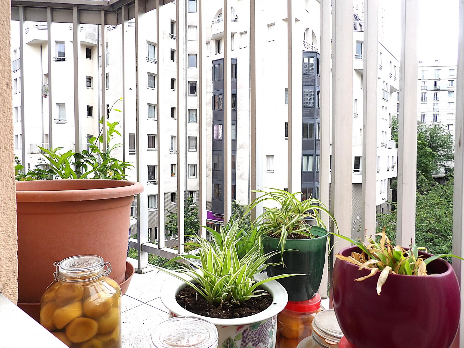 Balcon d’un appartement à Paris 13ème Balcon d'un appartement avec des pots de plantes, vue sur un immeuble à Paris 13ème.