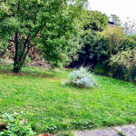 Montreuil Town Hall / House with large garden