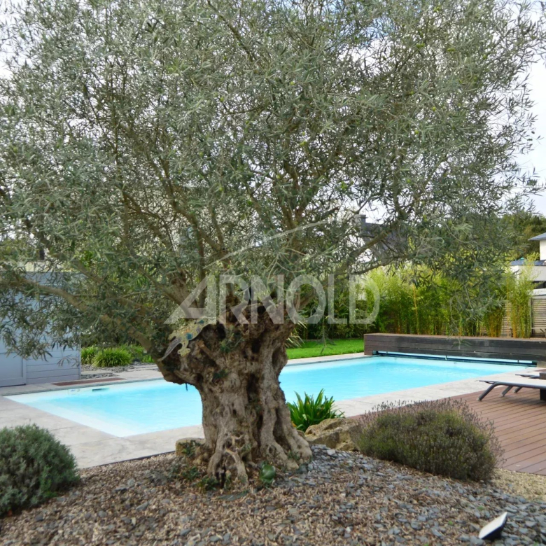 Spacious House for Large Family in Saint-Aygulf