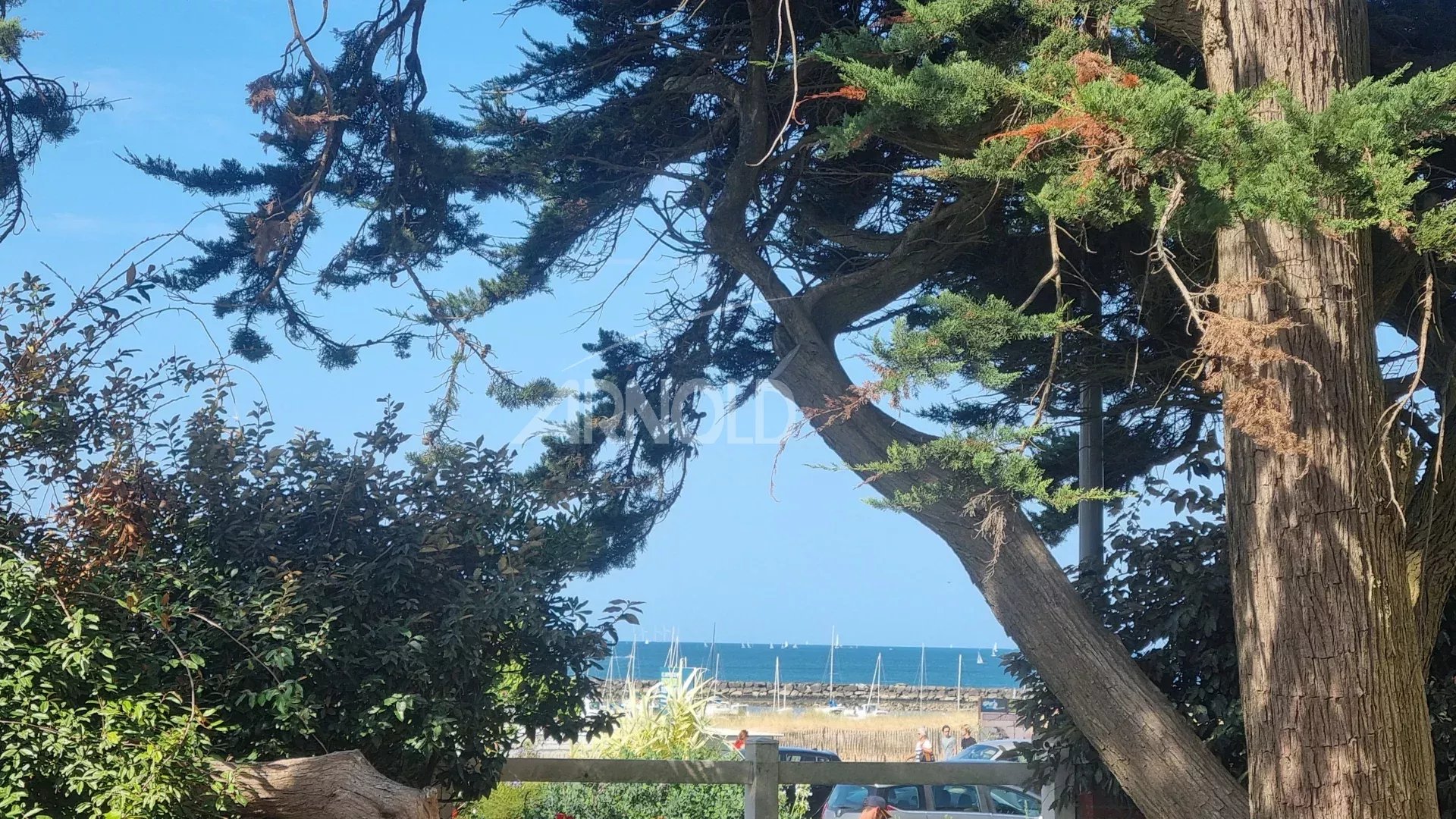 5ef101be3211b31eeaf33b69696cc0fe_23028cb5d8_1920-original