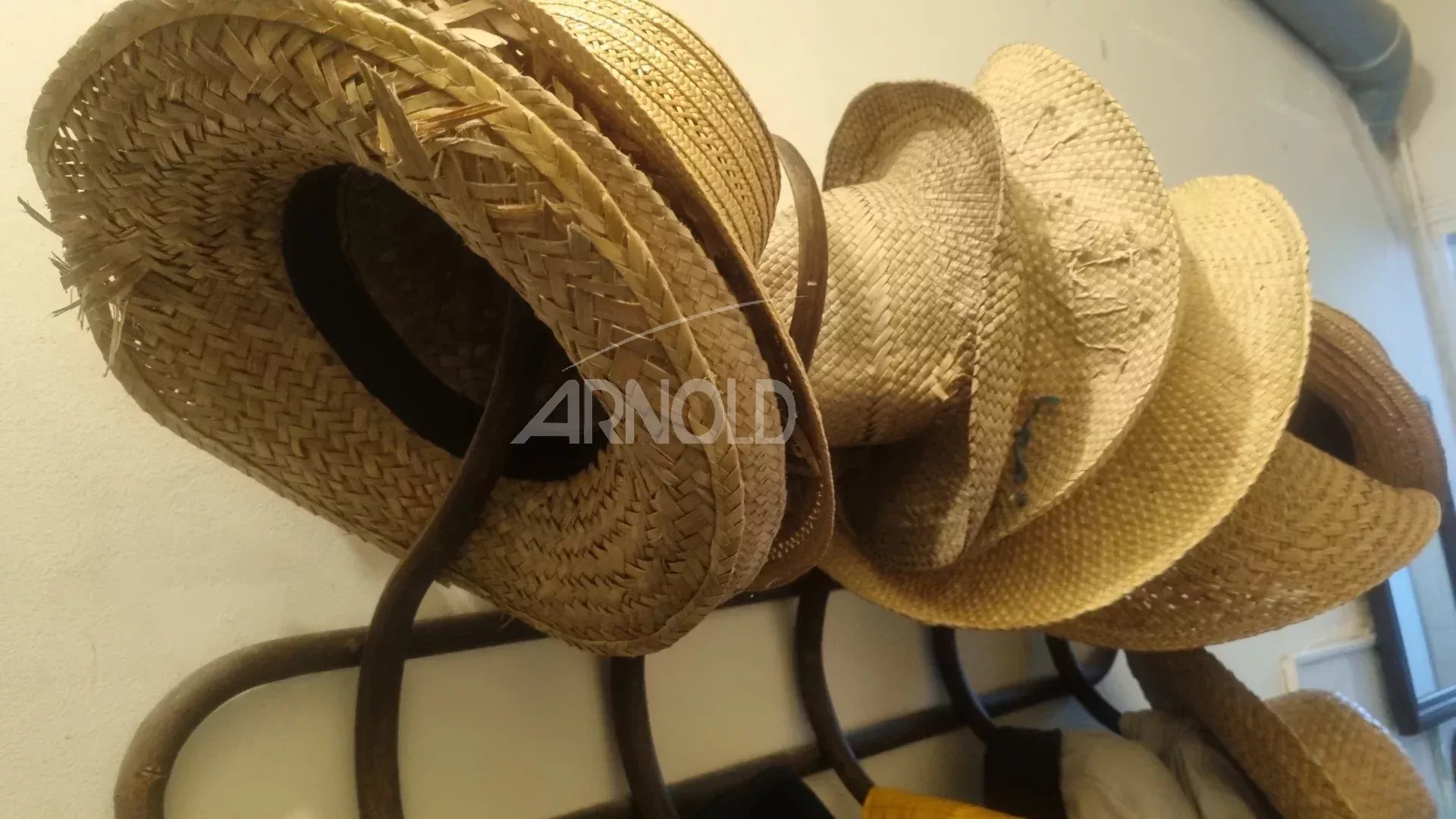 627d1c36f50fe36c6d84020127a0c02a_6439260a6a_1920-original