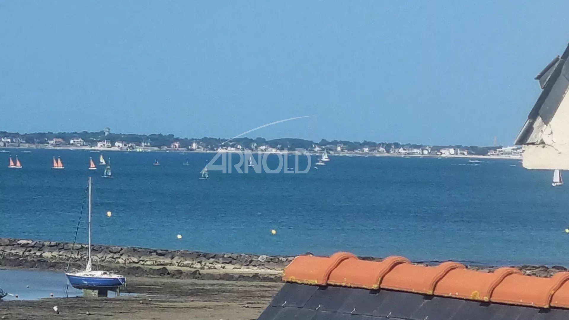 be72aa267c750fa0297c65f7e350a3f1_7e328536a0_1920-original