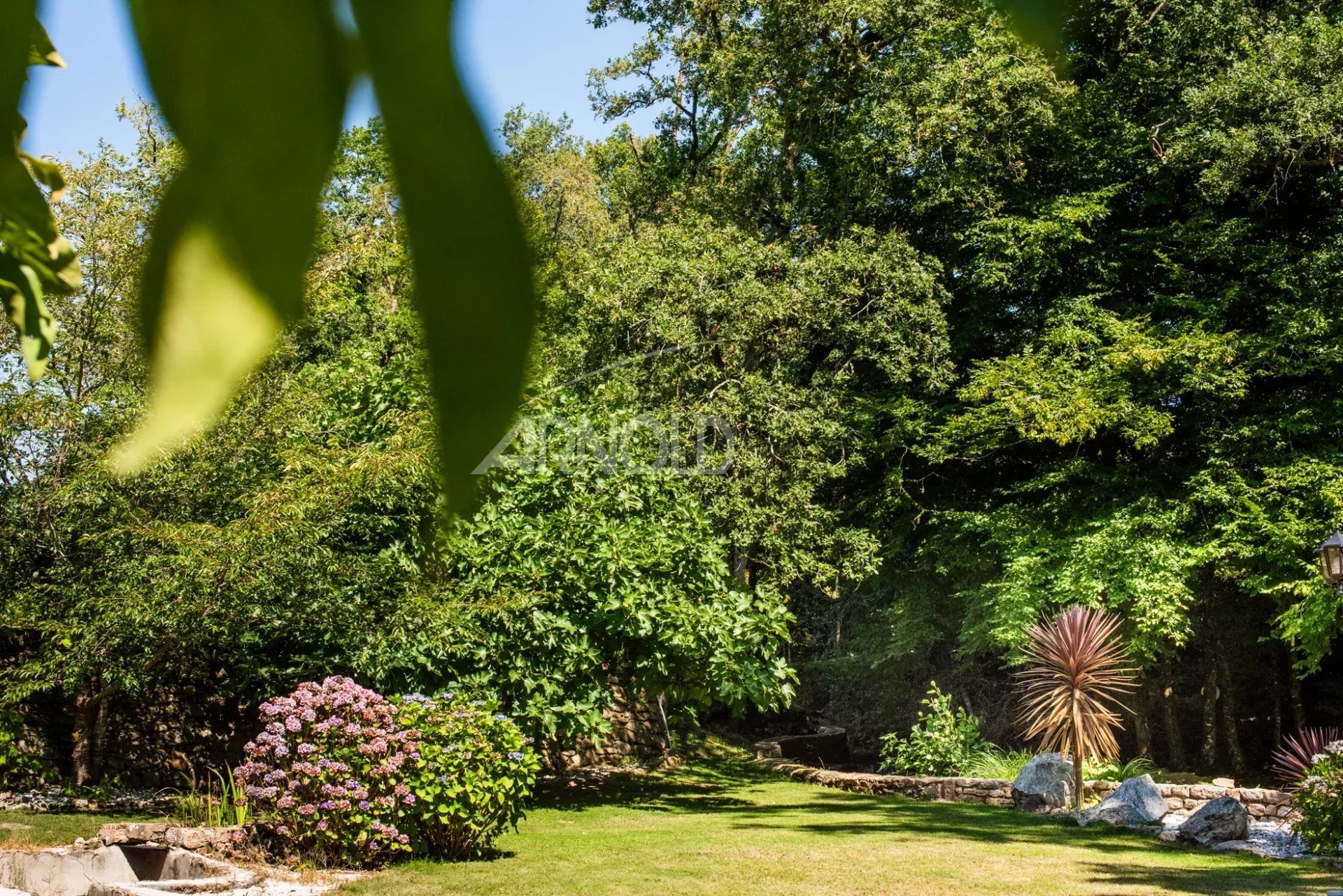 5c35cef6204b262649814b52f1d808e8_cf4257e57c_1920-original