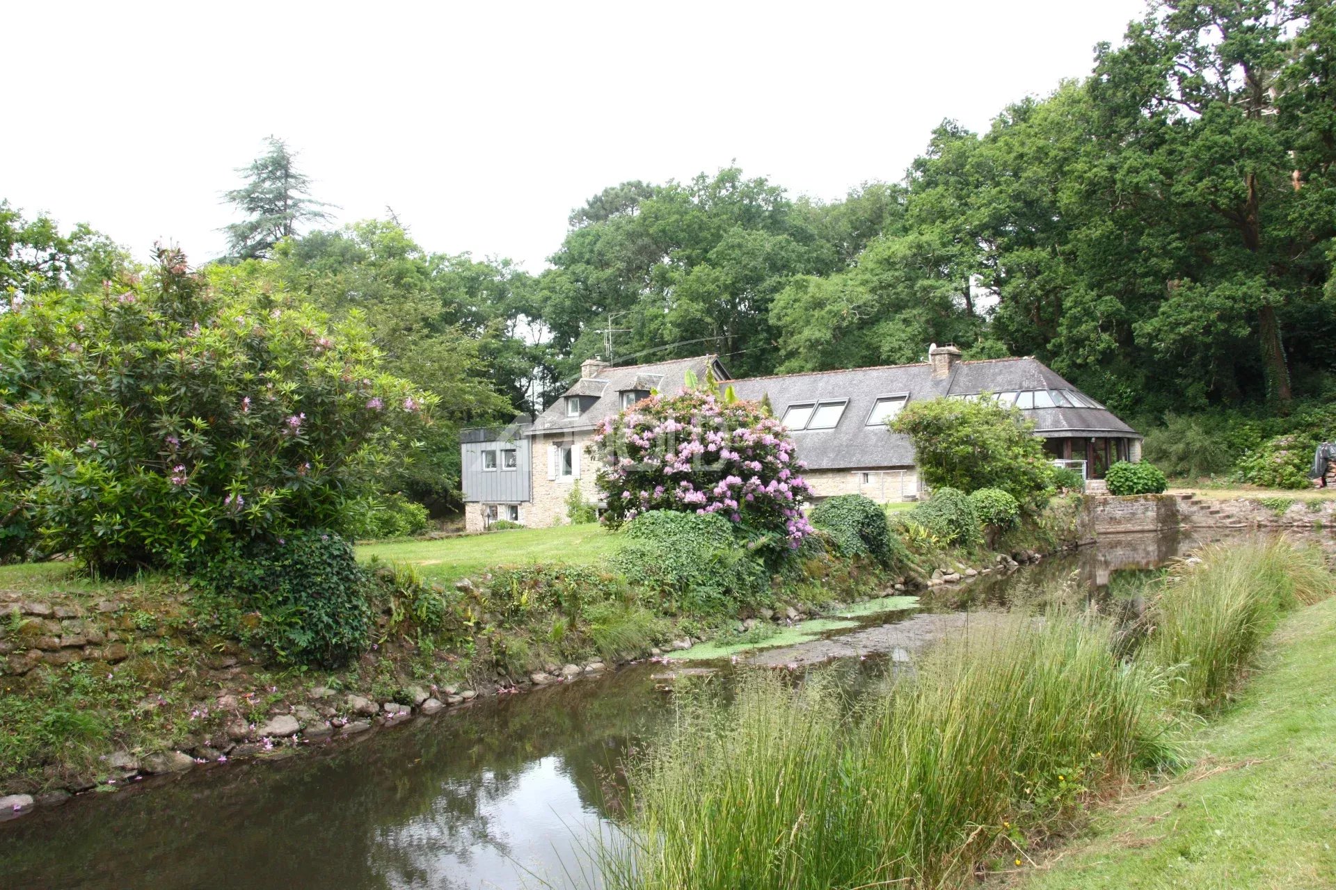 8f604000543143e2a71baa94f6e37ba6_1e6a8a8029_1920-original