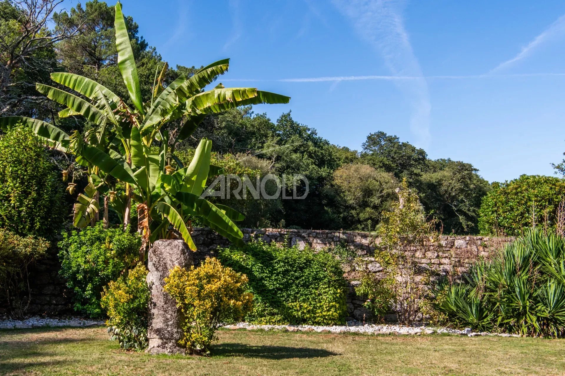 97ed99ae8b5b83aa069f8a01845713f6_41a0ff073b_1920-original