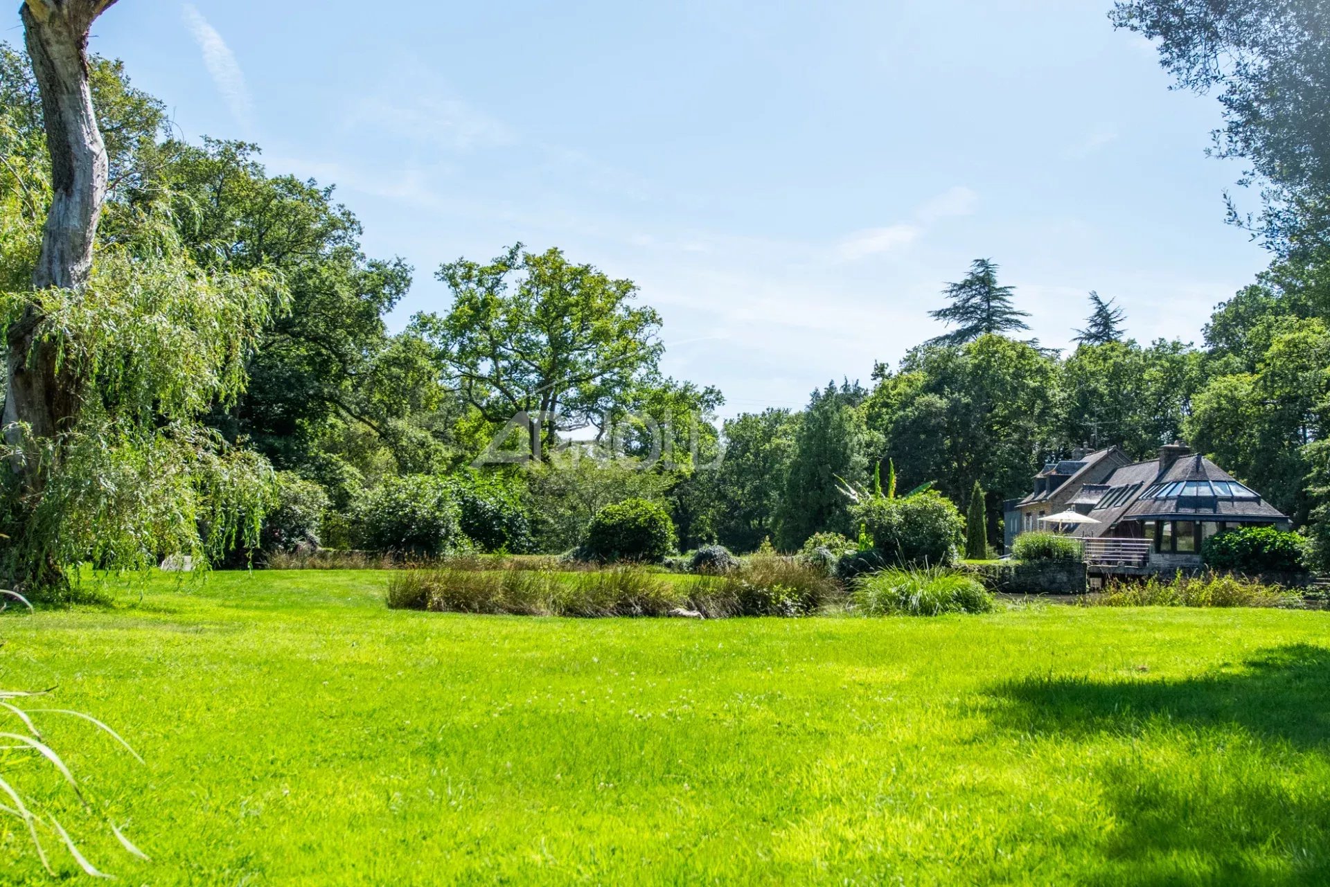 ad850486bbcad7e210600e0ca38d1423_8acfde55a3_1920-original