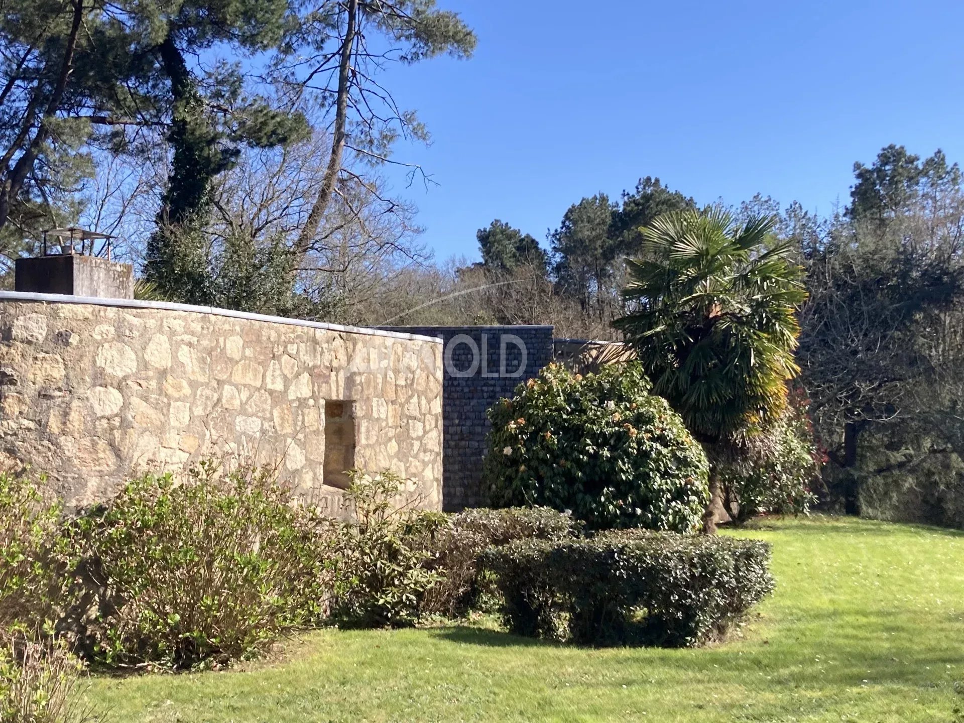 1dff57716b60c6124f42d01c20e60831_8bbbca7c7e_1920-original