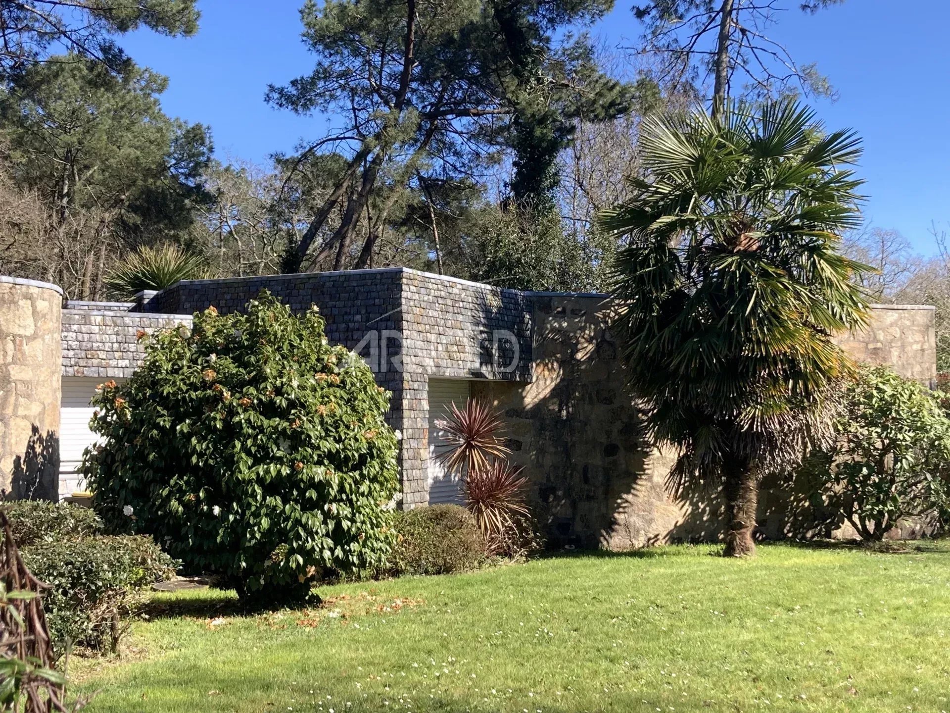 62d4c368308a76100765a2a083a82e1e_c3bf8a6123_1920-original