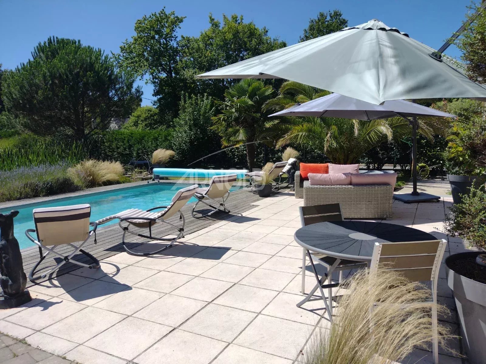 Sunny backyard pool area with beige lounge chairs along the edge and large umbrellas providing shade, surrounded by greenery on a bright day.