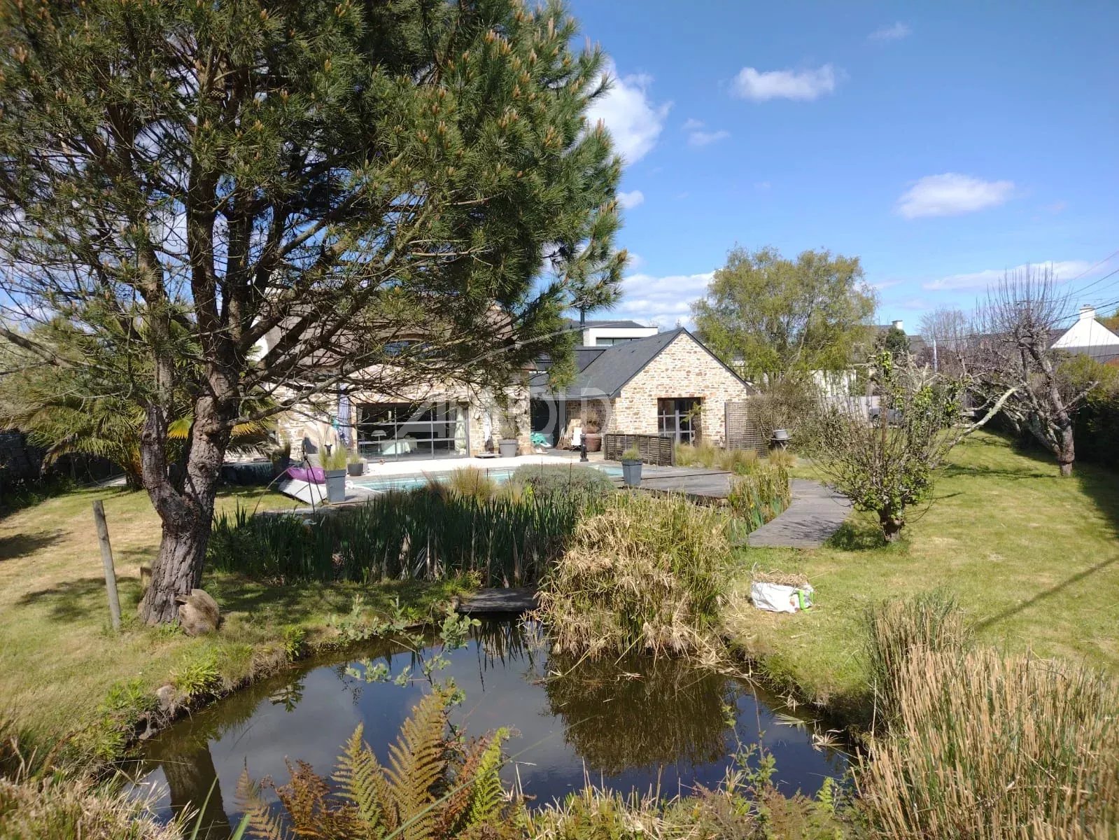 Backyard scene with a stone house, a wooden deck, and a small pond bordered by plants; a large tree dominates the left foreground under a blue sky.
