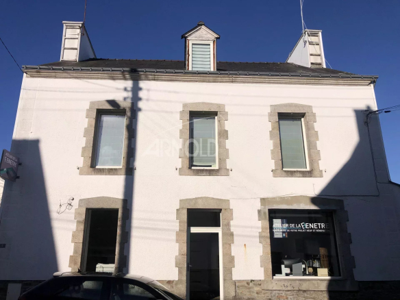 House with commercial walls and apartment