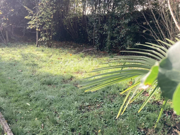 100 m² garden of a renovated apartment in Vannes, with vegetation and green space.