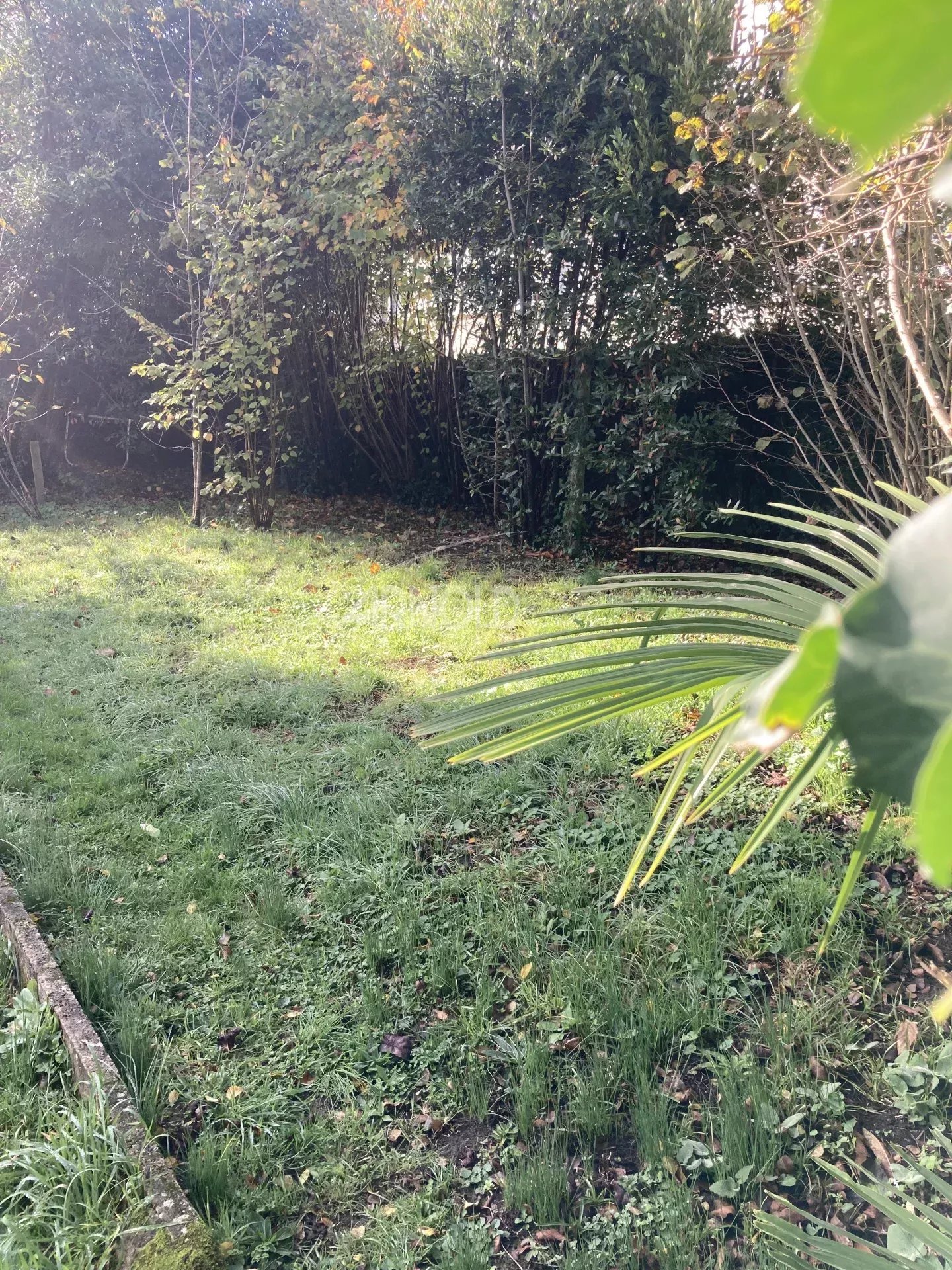 100 m² garden of a renovated apartment in Vannes, with vegetation and green space.