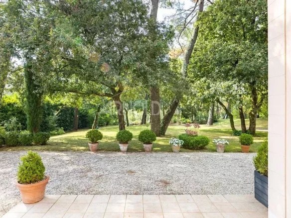 Vue d'un jardin verdoyant avec des pots de fleurs et des arbres, à Vannes.
