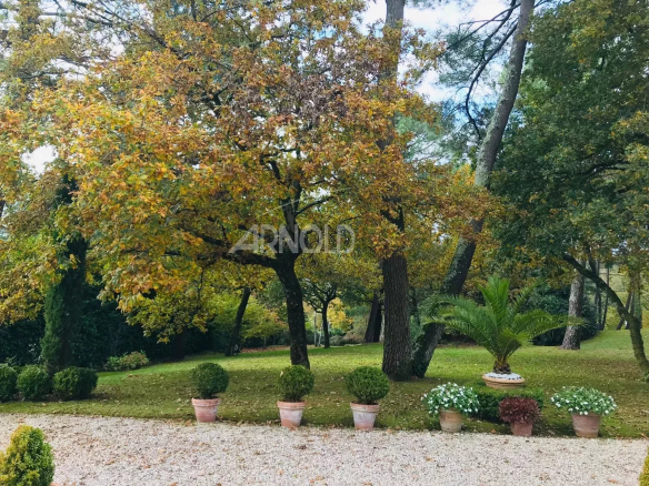 Jardin d'une maison à Vannes avec arbres et plantes en pot.