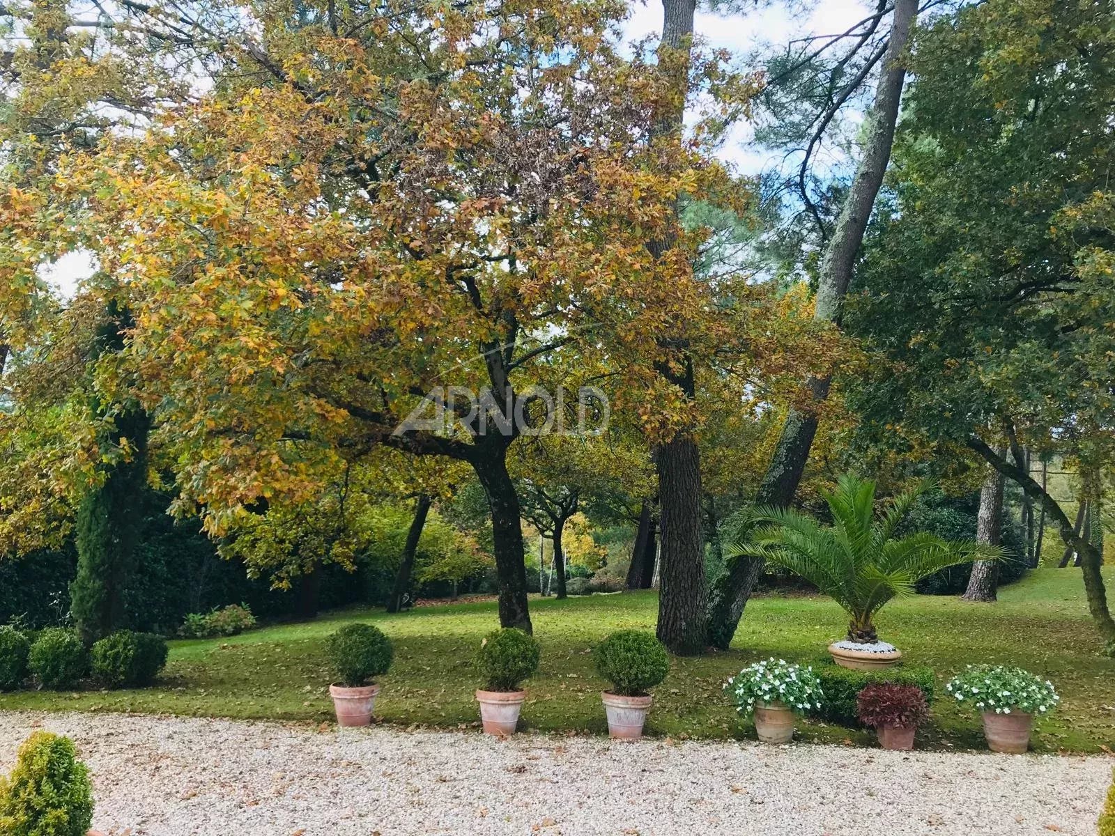 Jardin d'une maison à Vannes avec arbres et plantes en pot.