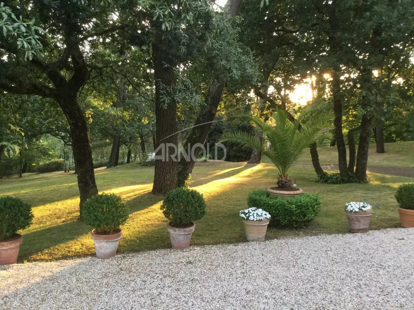 Jardin d'une maison à Vannes avec des arbres et des pots de fleurs.